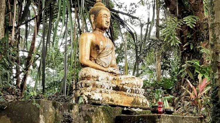 The guide to Buddhist tradition, orange-robes and making merit in Thailand