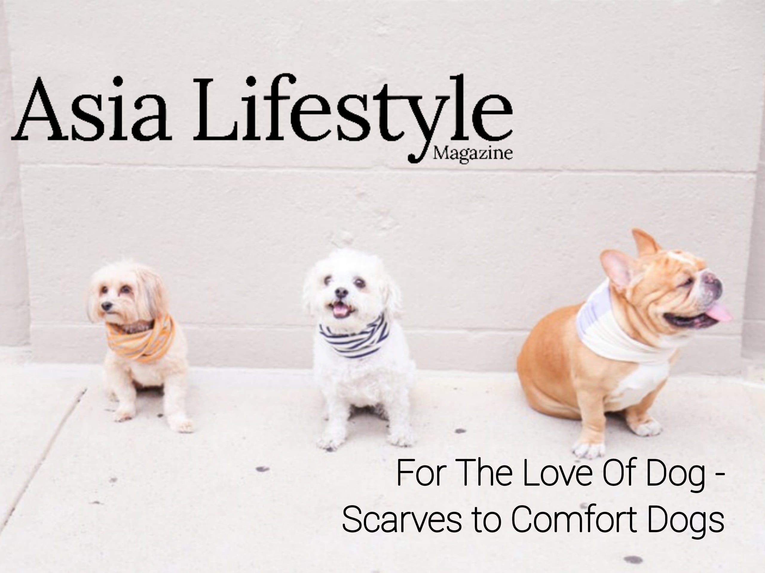 For The Love Of Dog