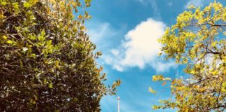 Bali vs Phuket Living: A Comprehensive Guide to Choosing Your Ideal Expat Life in 2026 Bali vs Phuket Living