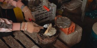 Must Try Cuisines in Southeast Asia: A Guide to Street Food, Best Dishes, and Vietnamese Cuisine for Expats