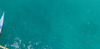 Cebu Expat Guide