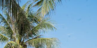 Thailand Property Fees Update: Transfer Costs, Mortgage Registration, and Market Stats Buyers Need Now Thailand beach