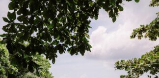 Wellness Retreats Asia 2026: Best Meditation, Yoga in Bali and Thailand, Spiritual and Detox Picks Wellness Retreats Asia 2026