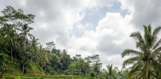 Discover Bali in April 2026: What to Expect for Your Dream Vacation