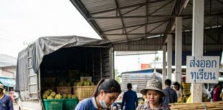 Thai Fruit Exports Soar 17.9% in April: What’s Driving the Surge?