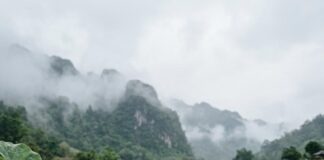 “Indulge in Thailand’s Green Season: Healing is the New Luxury”
