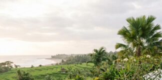 Your Ultimate Guide to the Bali Second Home Visa: Everything You Need to Know An older couple sit by an infinity pool overlooking Balinese rice terraces and the sea