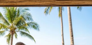 British Expats Bypassing Europe for Phuket: Discover Why This Tropical Paradise is Their Top Destination An older couple sit at a wooden table in a beachfront sala, laptops open and the sea framed by palm trees