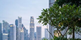 How to Connect with Businesses in Asia: Essential Tips and Strategies for Success