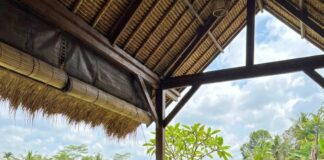 Living in Bali: A Comparison of Canggu, Sanur, and Ubud