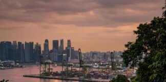 Singapore Sentosa New Attractions Plan: What’s Coming Next A woman walks a raised timber treetop walkway above Singapore's container port at dusk